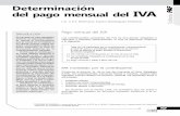Determinación Del Pago Mensual Del IVA