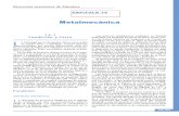 cap14 Metalmecanica Gipuzkoa.pdf