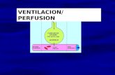 Ventilacion Perfusion