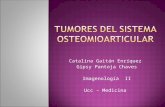 Tumores Del Sistema Osteomioarticular