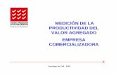 Caso - Empresa Comercializadora - Medición de La Productividad Del Valor Agregado