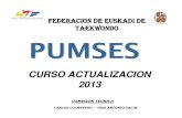 PUMSES Curso Actualizacion Abril 2013