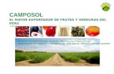 14.05 j. Morales Camposol- Ppt Sierra Exportadora Al 13-08-12 (2)