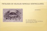 Patología de Válvulas Auriculo Ventriculares