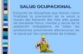 20261244 Historia Salud Ocupacional