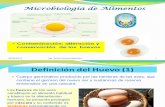 07-Contaminacion Alteracion de Huevos 03-10-12
