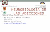 Neurobiología de Las Adicciones