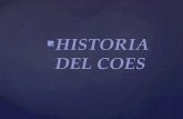 Historia y Funciones Del Coes (1)