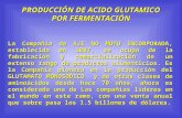 TEMA 03 Produccion de Acido Glutamico 1