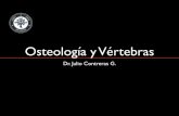 2 - Osteologia y Vertebras