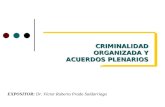 Acuerdos Plenaruios Sobre Criminalidad Organizada