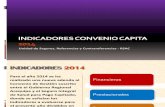 Indicadores Convenio Capita 2014 FINAL