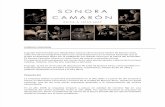 Sonora Carpeta Presentacion 2013 (2)