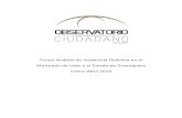 Reporte Incidencia Delictiva - Observatorio Ciudadano de León