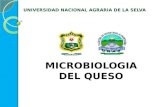 Microbiologia Del Queso2