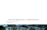 Guía de Ejercicios Optimización 2012-2