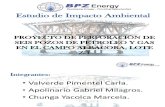 EXPO EIA-Proyecto de Perforación de Seis Pozos de Petróleo y Gas en El Campo ALBACORA, Lote Z-1