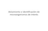 Aislamiento e identificaci³n de microorganismos de inter©s.pdf