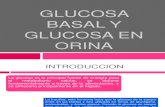 Glucosa en Orina y Basal. Expo Final