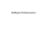 Reflejos Pulmonares.pptx