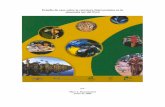 estudio caso carretera interoceanica  amazonia peru.pdf