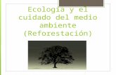 Ecología y el cuidado del medio ambiente (.pptx