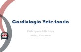 Cardiologia Veterinaria Medicina I (1)