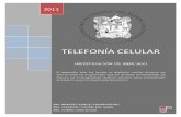Investigacion de Telefonia de Celular en Mexico