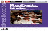 DIVERSIFICACION Y PLANEAMIENTO ESTRATEGICO EN LAS I.E..pdf