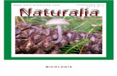 Revista Naturalia 2011 01