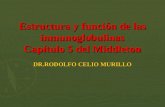 CAPITULO 5 Estructura y Función de La Inmunoglobulinas