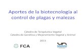 Clase Terapeutica 2013. Aportes Biotecnologia Al Control de Plagas y Malezas