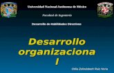 Desarrollo Organizacional, Zelindabeth Ruiz Noria, 2007-1