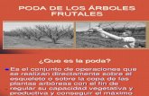 5º clase poda de los frutales 2014.pdf