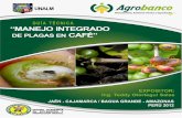 Mip Cafe Agrobanco