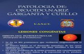Patologia de Ojo,Oido,Nariz,Garganta y Cuello