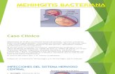 Caso Clínico Meningitis Bacteriana