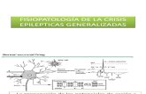 Fisiopatología de La Crisis Epilepticas Generalizadas