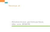 Tema 2 Sis primarios BWR.pdf
