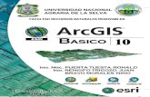 Manual de ArcGIS 10 en Español PDF - Básico