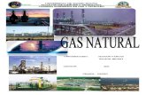 Cuaderno de Apuntes Gas Natural