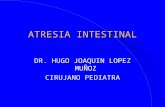 005 Atresia Intestinal