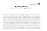 Formacion y cohesion grupal.pdf