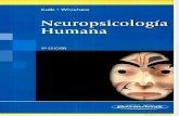 Bryan Kolb & Ian Whishaw - Neuropsicologia Humana (Capitulo 1)(2)