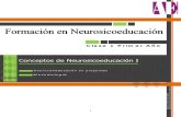Conceptos de Nse I Neurosicoeducación en Preguntas