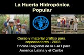 Huerta Hidroponica Popular Curso Capacitadores
