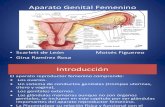 Aparato Femenino (Histología)