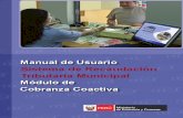 Manual Para Usar El Modulo Cobranza Coactiva Dado x El Mef - 2012