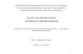 Química Inorgánica Manual de Prácticas 2012 v02 GC(2)