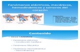 Exposicion Fenomenos Electricos Mecanicos Sonoros Del Corazon